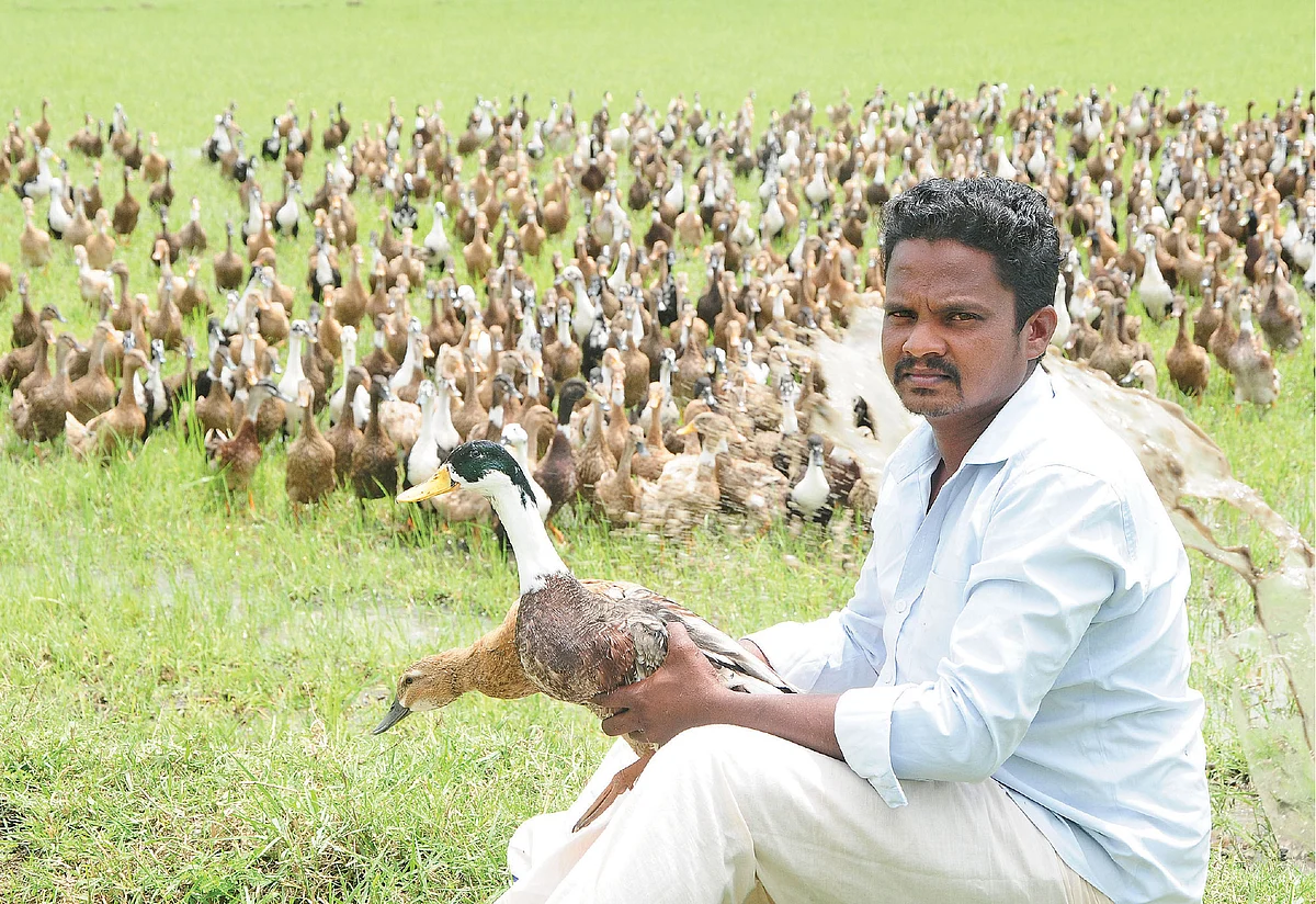 வாத்துகளுடன் பாஸ்கரன்