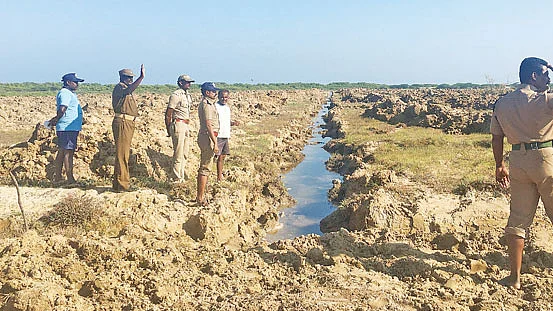 அலையாத்திக் காடுகள் உருவாக்கும் பணியில் வனத்துறையினர்
