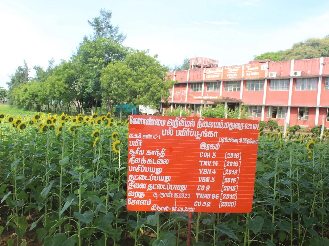 7 பயிர்களுடன் மதுரையில் வேளாண் பல் பயிர் பூங்கா... விவசாயிகள் ஏன் பார்வையிட வேண்டும்?