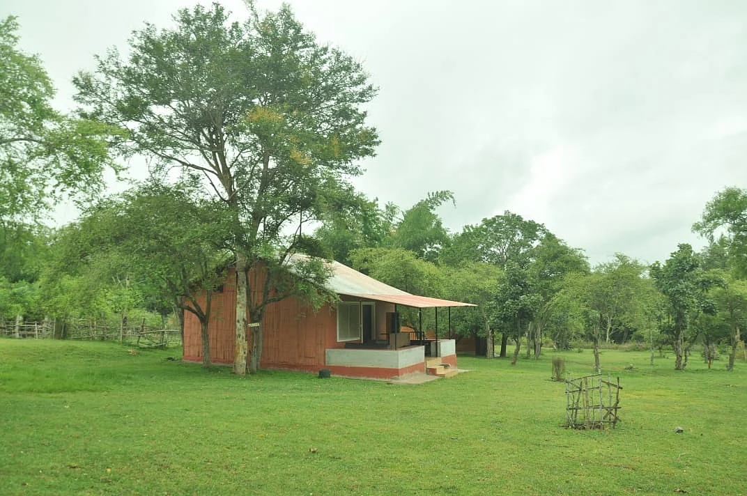யானைகள் வழித்தடம்