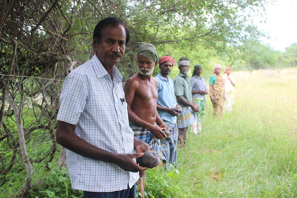 பனைவிதைகளோடு மனோகரன்