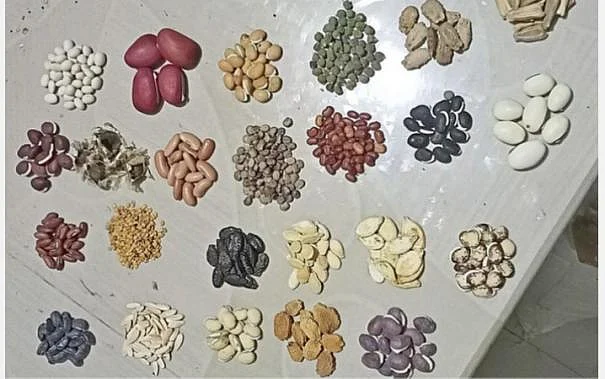 பாரம்பர்ய விதைகள்