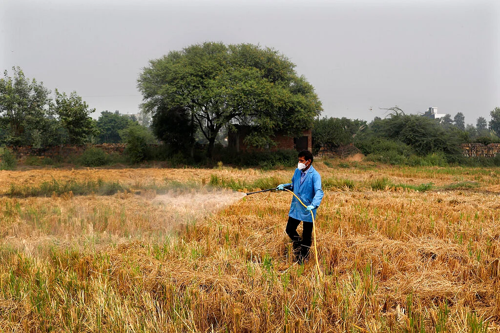 A Pusa Institute of Technology worker sprays bio-decomposer which converts agricultural waste into compost in his field