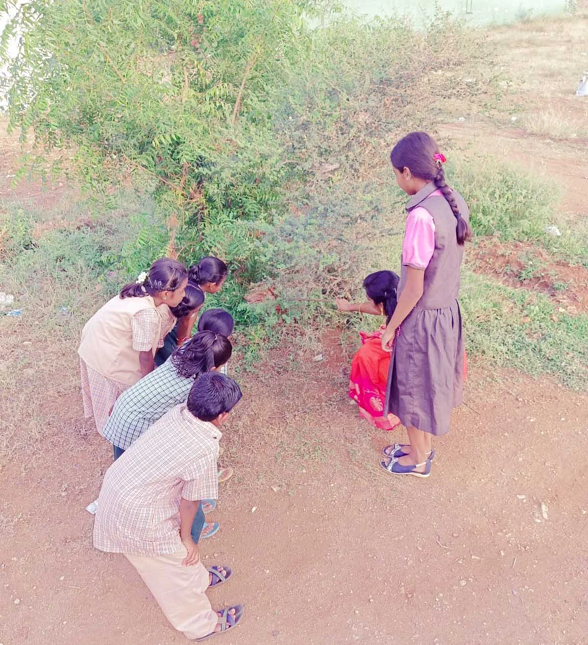 உயிர்வேலி பற்றி மாணவர்களிடம் விளக்கும் திலகவதி