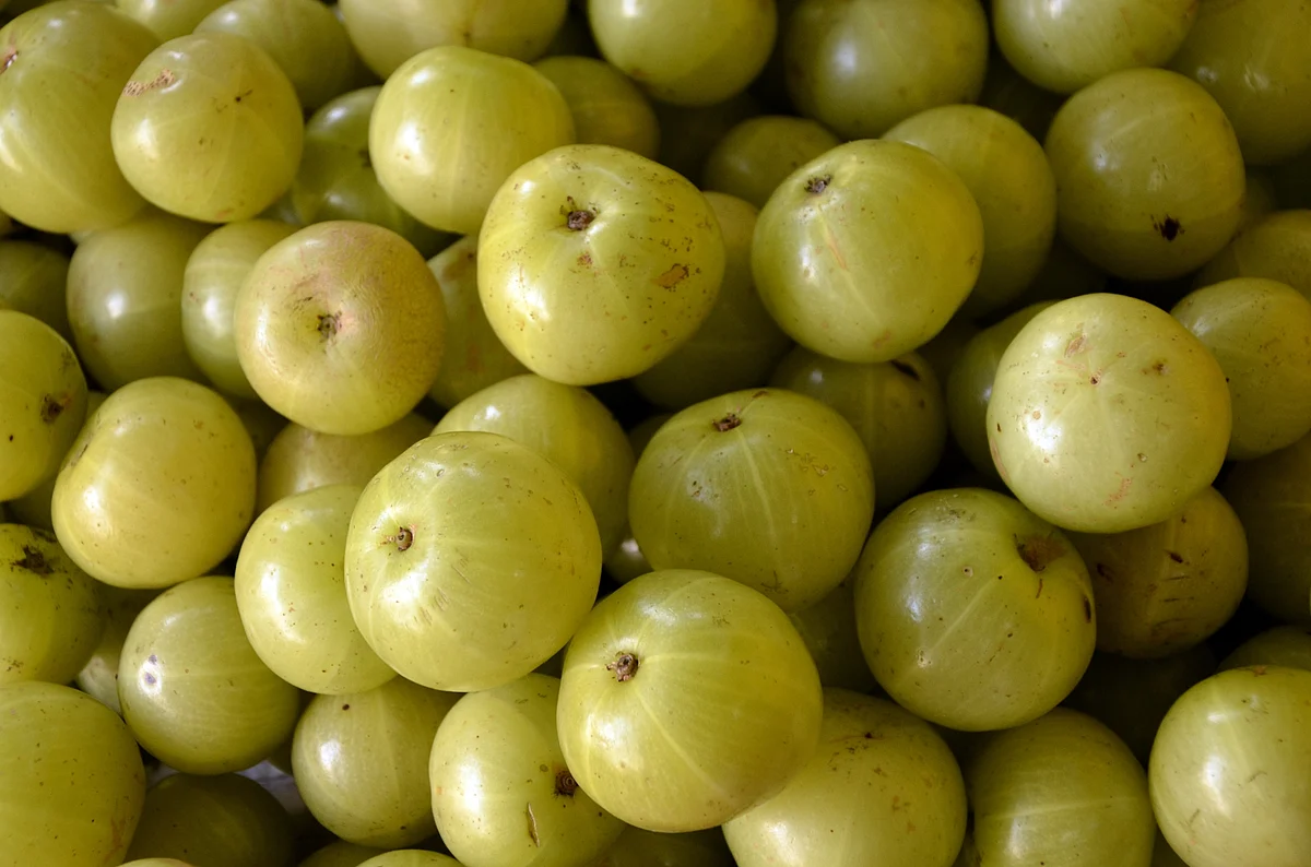 Amla