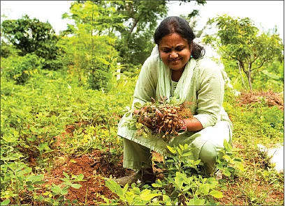 தெருக்குப்பையே உரம்... பூத்துக்குலுங்குது தினம்! - ப்ரீத்தியின் அசத்தல் மாடித்தோட்டம்