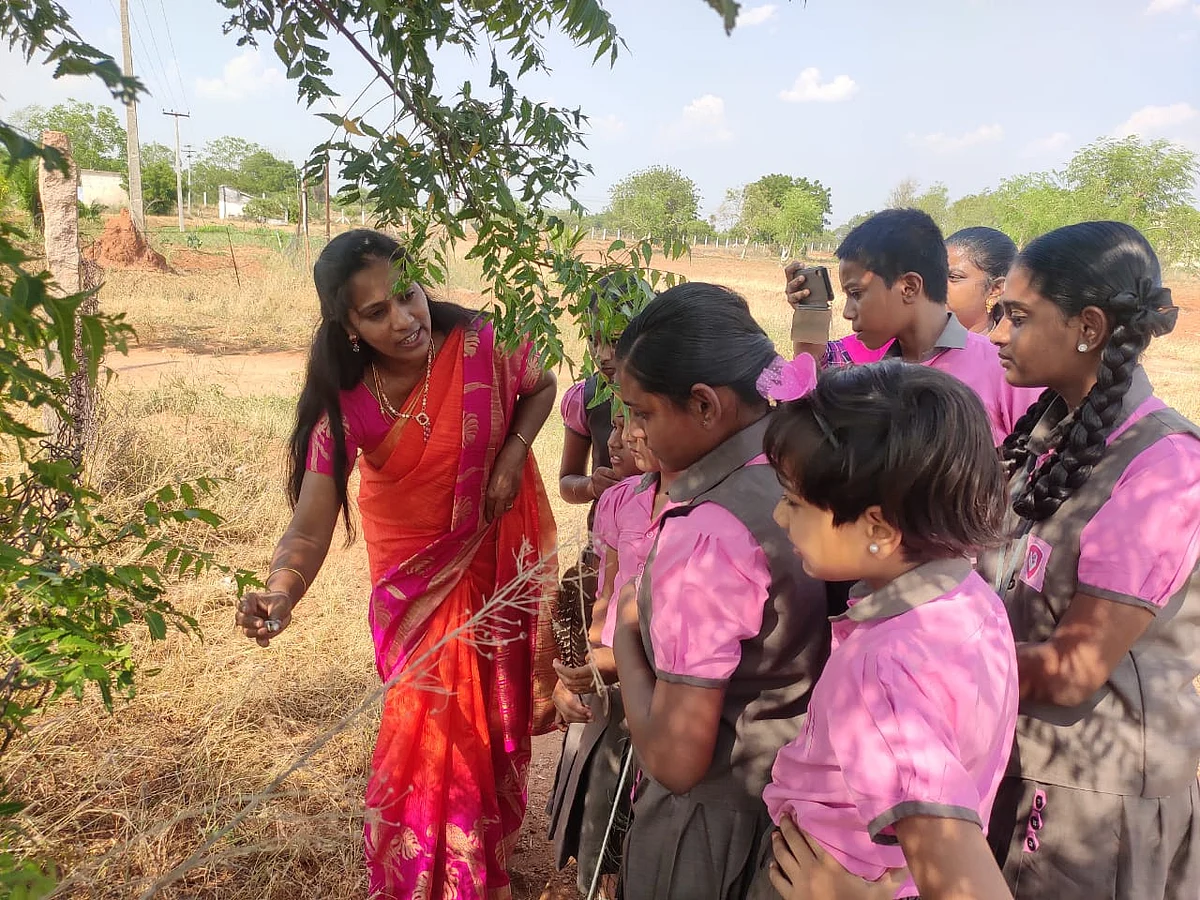உயிர்வேலி பற்றி மாணவர்களிடம் விளக்கும் திலகவதி