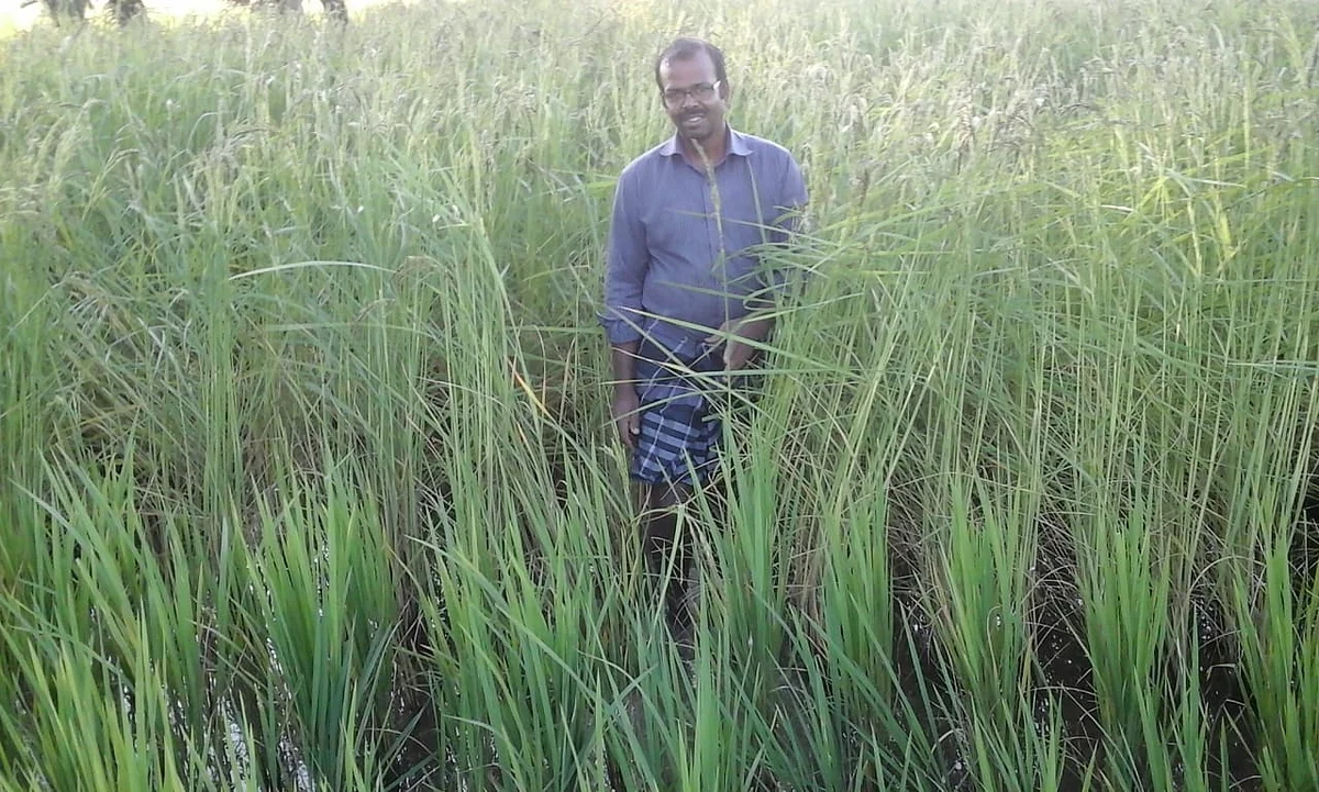 குணசீலன்