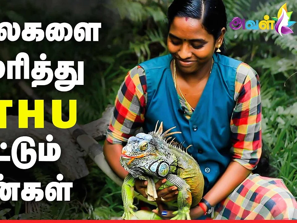 Amazing: ஆபத்தான விலங்குகளை அசால்ட்டாக வளர்க்கும் பெண்கள்!