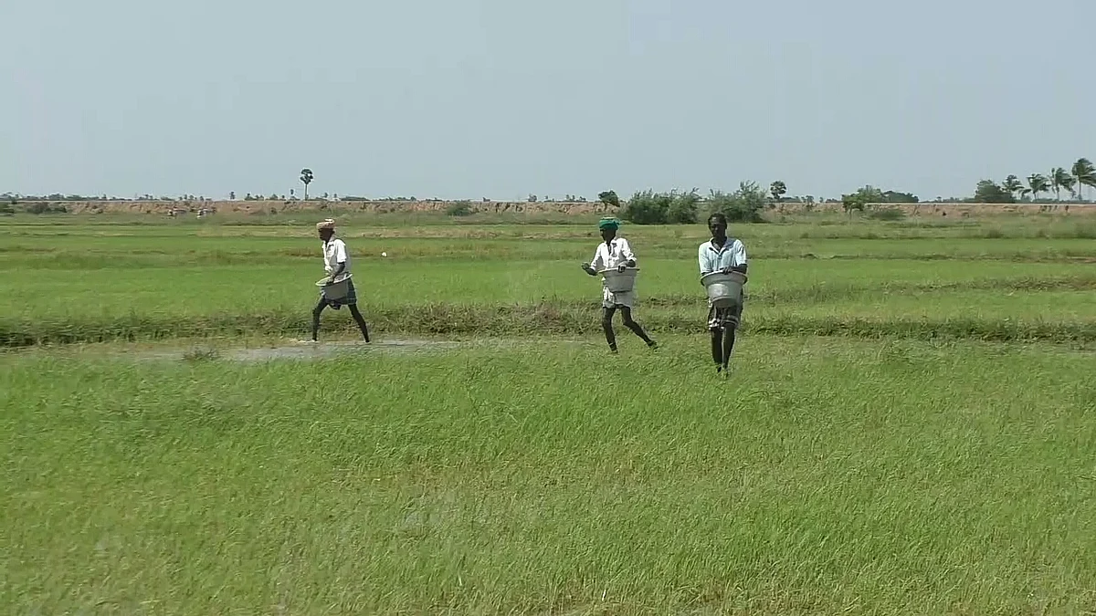 யூரியா