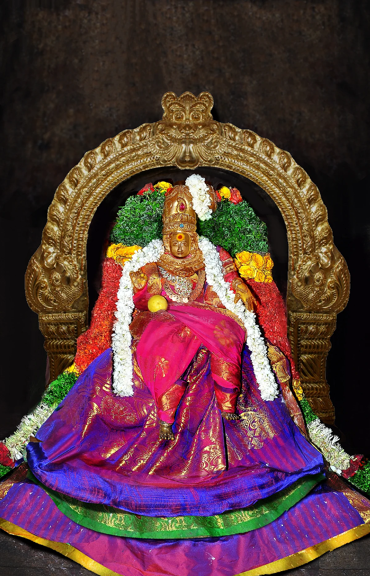 சாகம்பரி