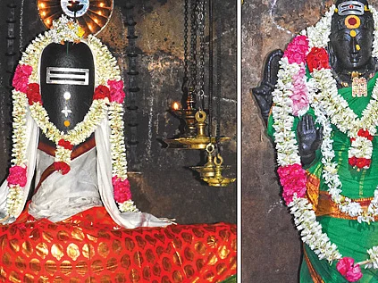 வெள்ளெருக்கு இலையில் தயிரன்னம் பிரசாதம்! - திருமங்கலக்குடி மங்களாம்பிகை