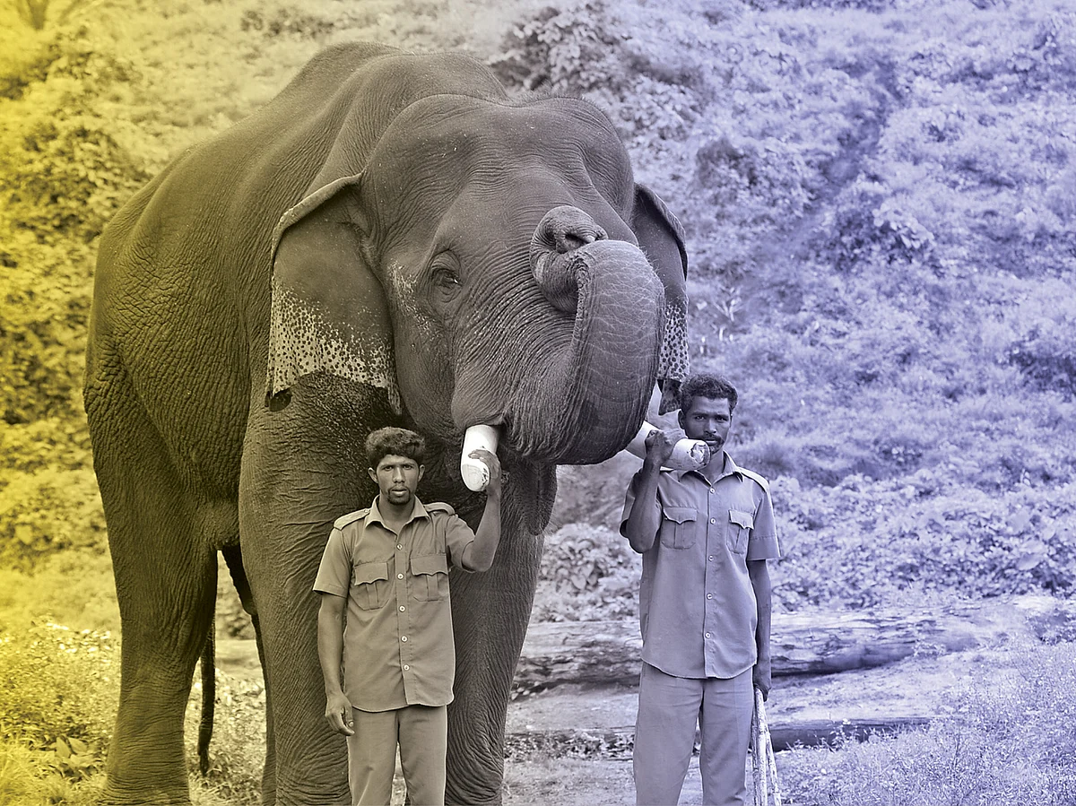 என்ன சொல்ல நினைக்கிறாய் சின்னத்தம்பி?
