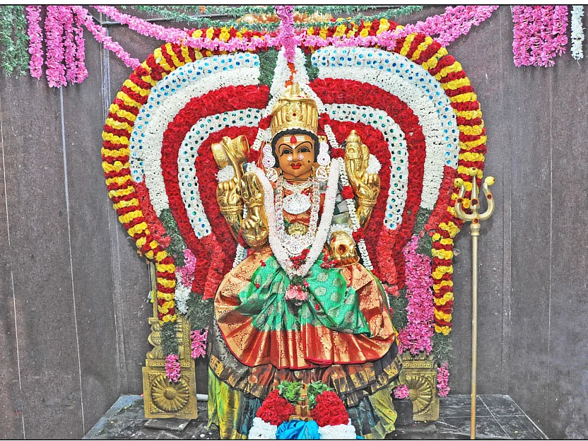 9 துர்கைகளும் அவர்களைத் தொழுவதால் உண்டாகும் நன்மைகளும்... நவராத்திரியில் நவதுர்கா வழிபாடு!