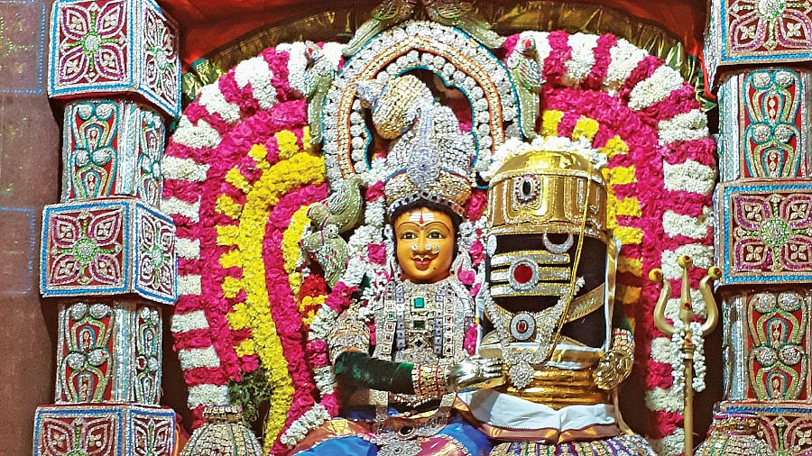 நவதுர்கா ஹோமம்