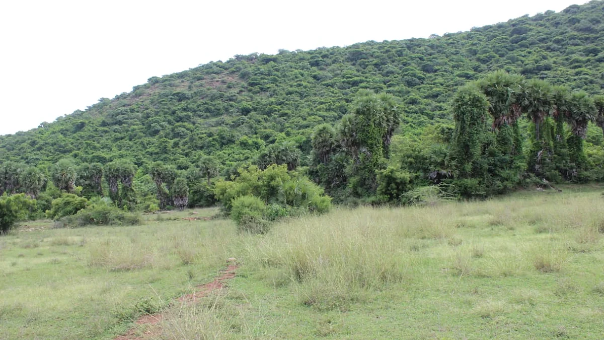 குவாரி தொடங்கப்போகும் பகுதி