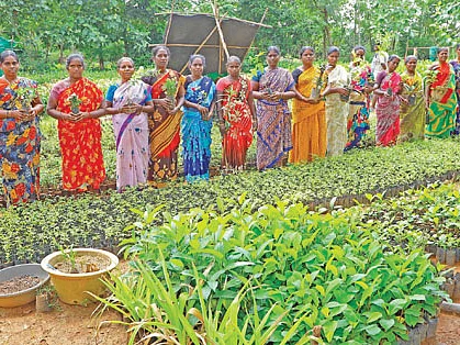 ஊரெங்கும் நர்சரி... உழைப்புக்கு முன்னோடி!