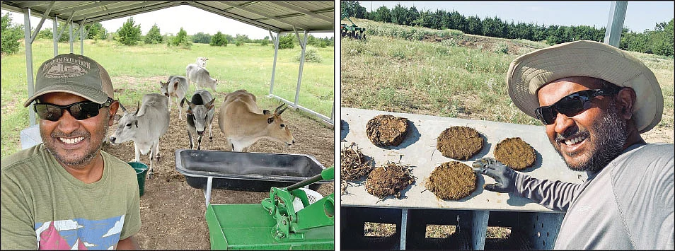ஒரு லிட்டர் ஆட்டுப்பால் ரூ. 185 - அமெரிக்காவிலும் ஆடு, மாடு வளர்ப்பில் அசத்தும் நம்மூர் விவசாயி!
