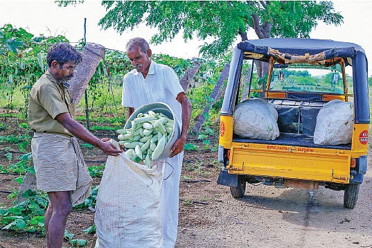 மூட்டைப் பிடிக்கும் பணியில்