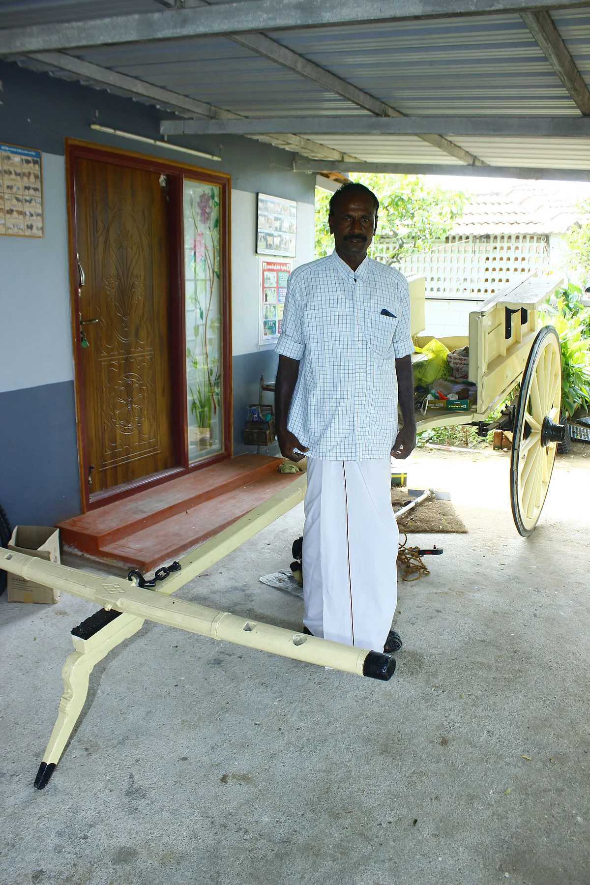 காளை மாட்டு சவாரி வண்டி