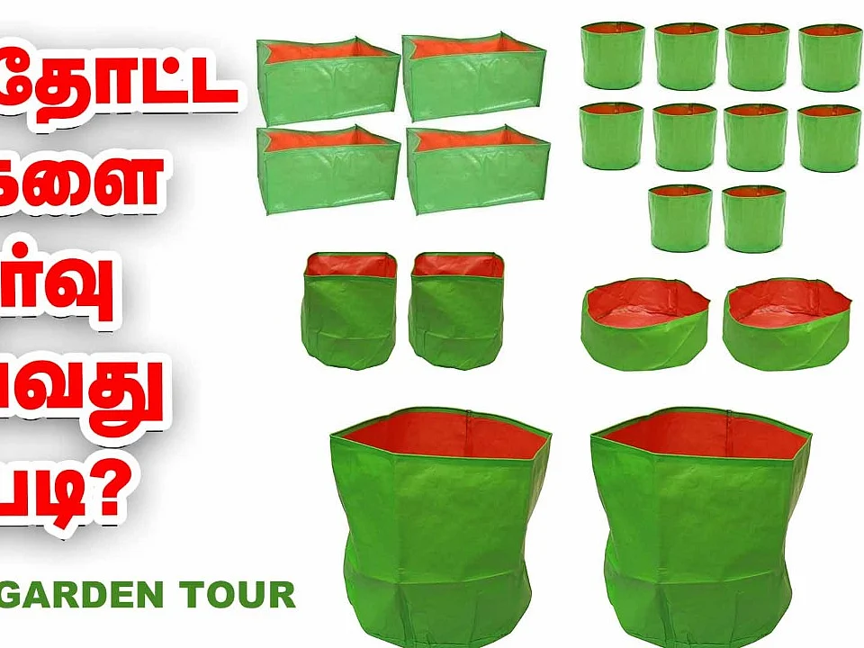 மாடித்தோட்ட பைகளைத் தேர்வு செய்வது எப்படி? #TerraceGardenTour