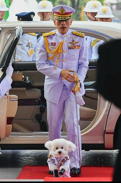 thai king with his pet foo foo