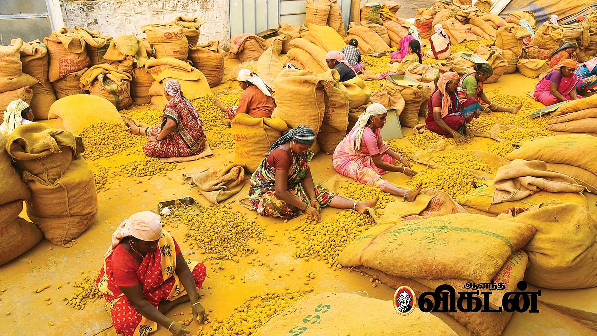 தமிழகத் தொழில்கள்