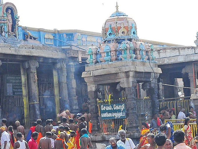 நாரதர் உலா: `திருப்தியான
தரிசனமும் வழிபாடும்
எப்போது?’