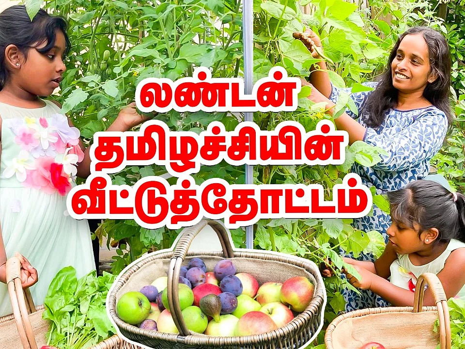 `லண்டனில் வீட்டுத்தோட்டம்!' - அசத்தும் தமிழச்சி #London #HomeGarden