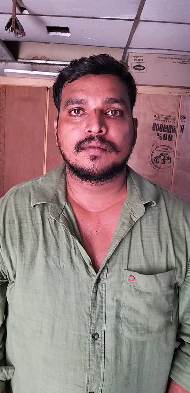 சாலமன்