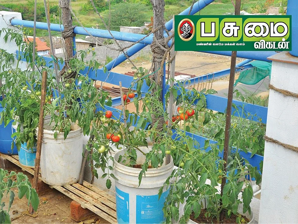 இதெல்லாம் தெரிஞ்சா நிச்சயம் நீங்களும் மாடித்தோட்டம் அமைப்பீங்க... வாங்க! - வீட்டுக்குள் விவசாயம் - 2