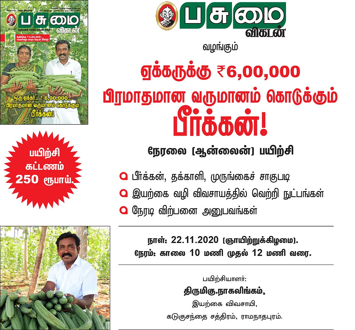 ஒரு ஏக்கர்... ரூ. 6,00,000... பிரமாதமான வருமானம் கொடுக்கும் பீர்க்கன்!