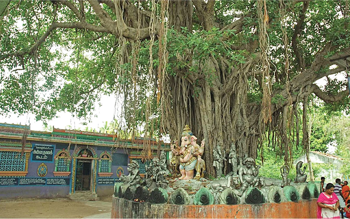 அருவுருவமாய் அருளும் முருகக்கடவுள்! - அழகன் முருகனின் அற்புத ஆலயங்கள்