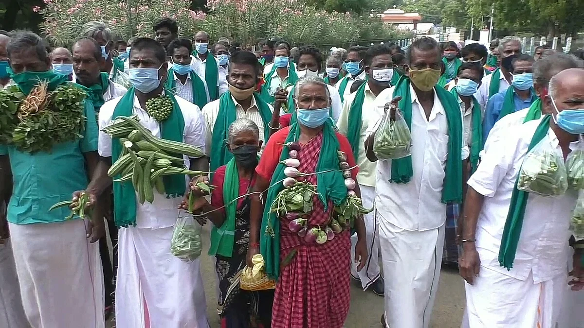காய்கறி மாலை அணிந்து கலெக்டரிடம் மனு