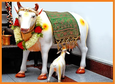 நல்லன எல்லாம் அருளும்... நந்த சப்தமி கோபூஜை