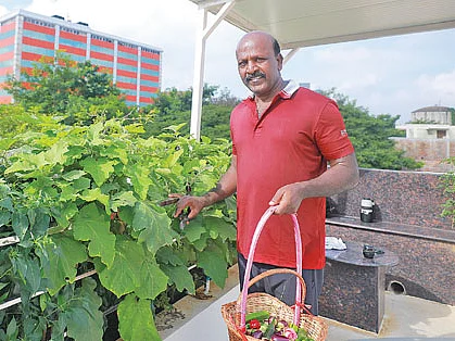 “நாமே விளைவிச்சு சாப்பிடுறது அலாதி சுகம்தான்!”