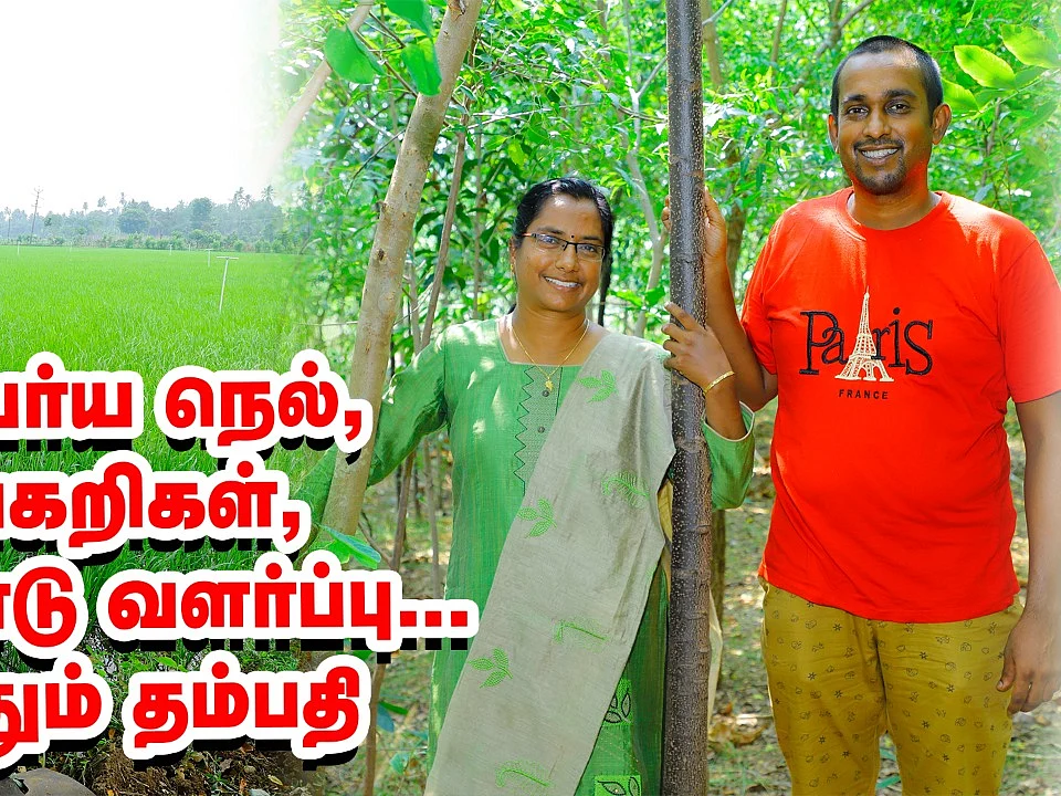 அமெரிக்கா டு தஞ்சாவூர்... விவசாயத்துக்காக தமிழகம் வந்த கால்நடை மருத்துவ தம்பதி!