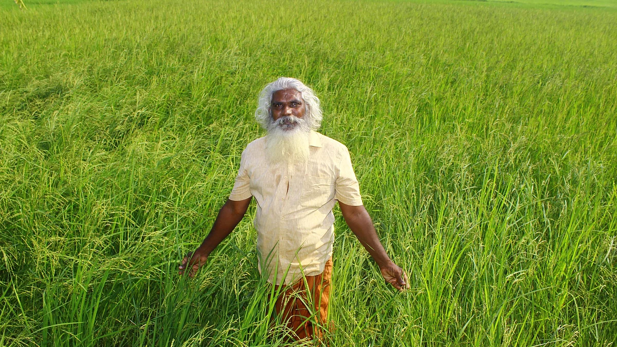 வயலில் கதிர்வேல்