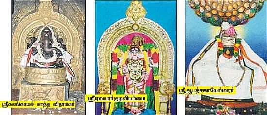 ஆலங்குடி