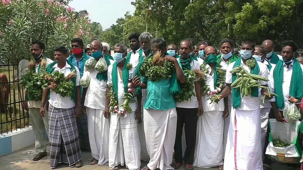 காய்கறி மாலை அணிந்து கலெக்டரிடம் மனு