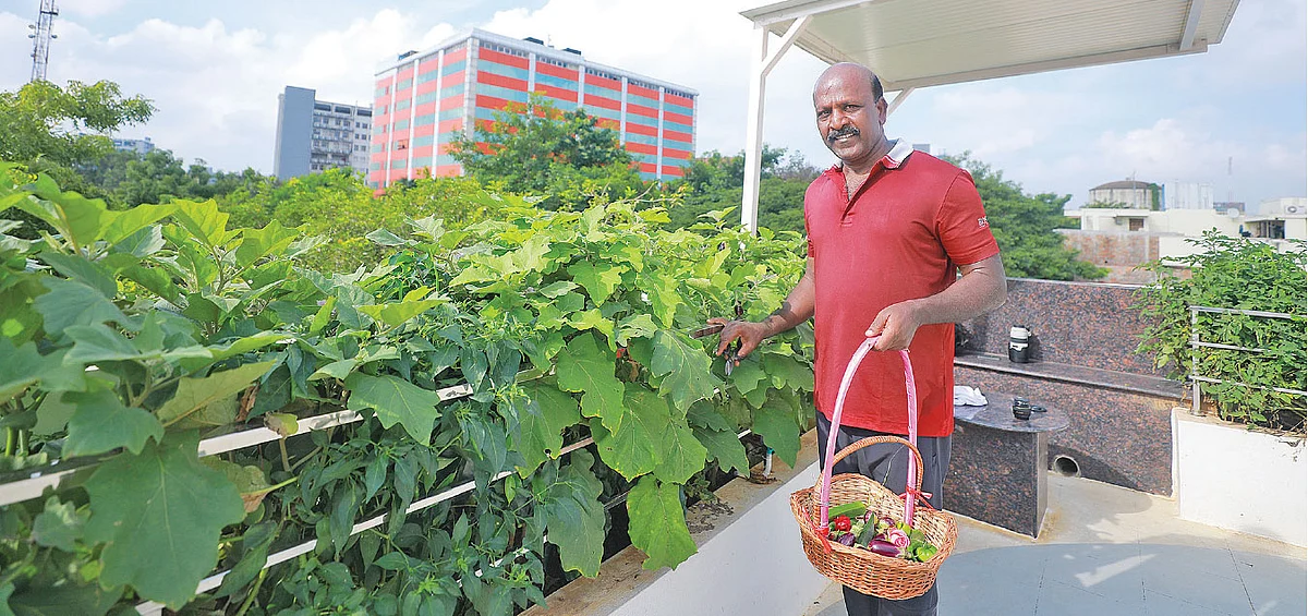 மாடித் தோட்டத்தில் மா.சுப்பிரமணியன்