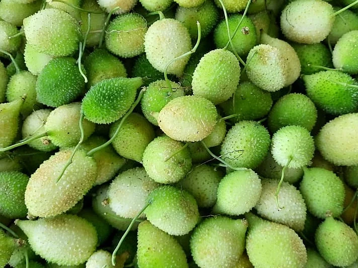 களைகட்டும் கசப்பில்லாத பழுபாகற்காய் விற்பனை... விலையேற்றத்திலும் வாங்க அலைமோதும் மக்கள்!