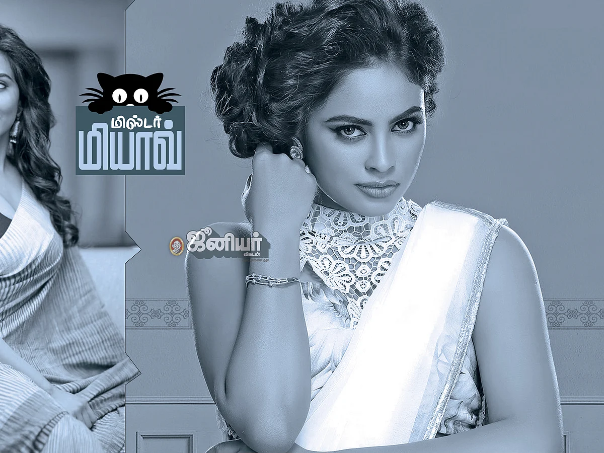 மிஸ்டர் மியாவ்