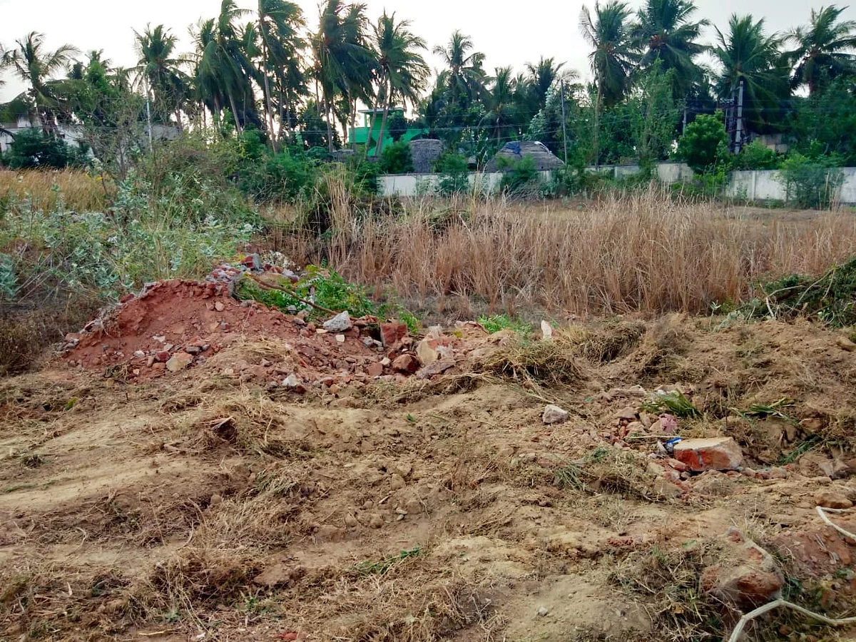 மைதானம் சுத்தம் செய்தபோது
