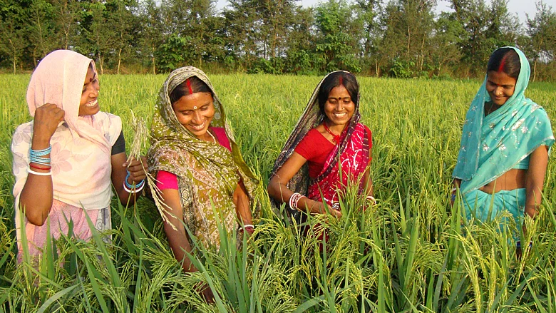 பீகார் விவசாயம்