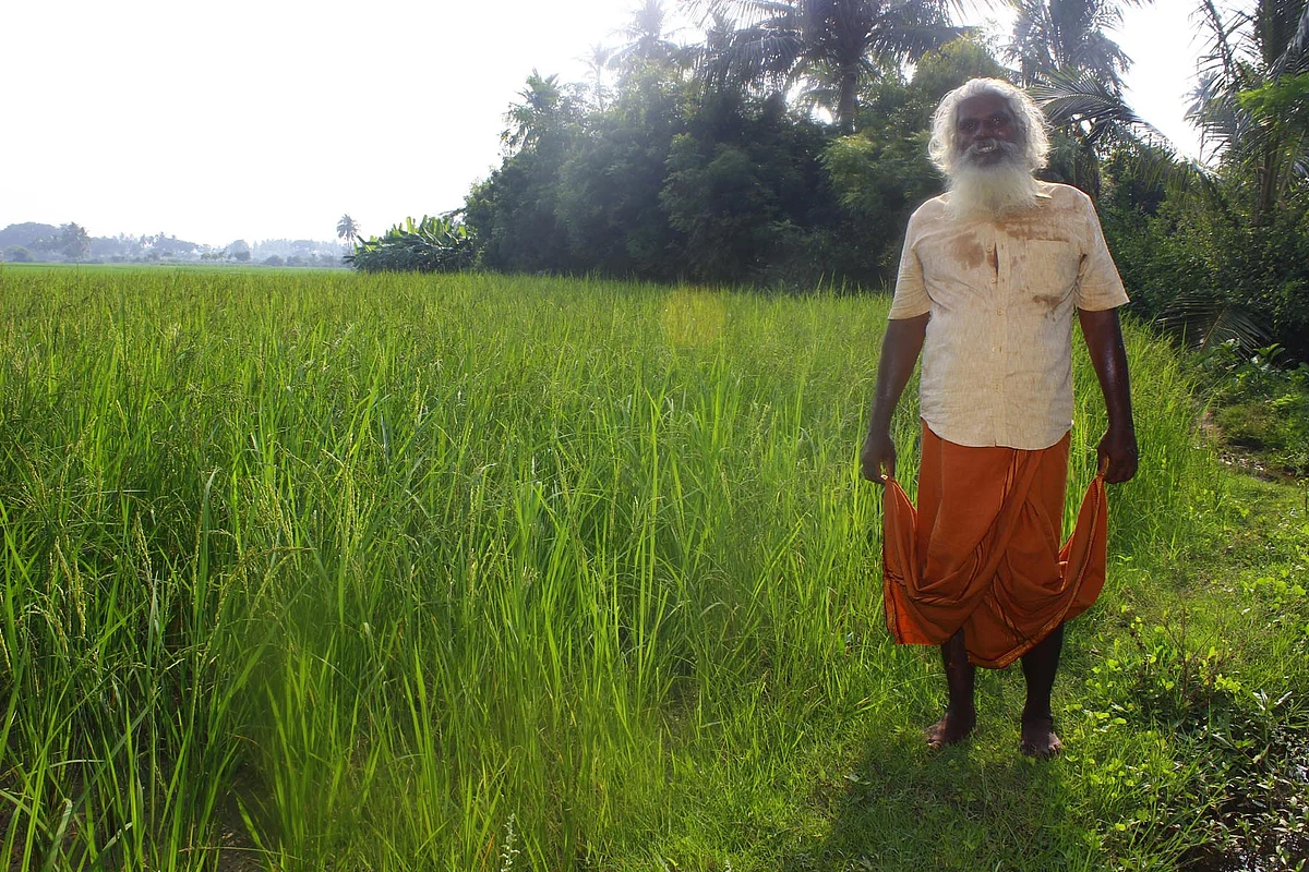 வயலில் கதிர்வேல்