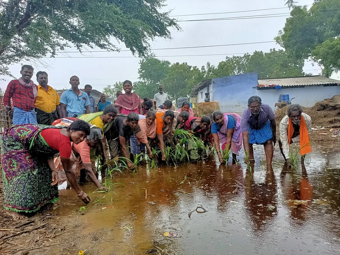 மழைநீரில் நாற்று நடும் கிராமத்தினர்