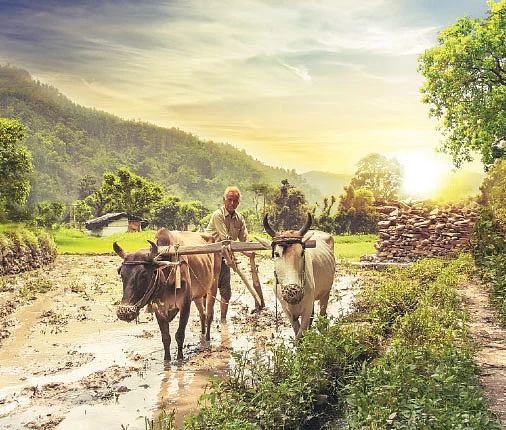 புதிய மானிய அறிவிப்புகள்... லாபம் தர வாய்ப்புள்ள துறைகள், பங்குகள்!