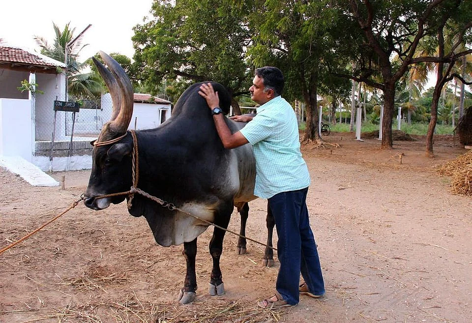 கார்த்திகேய சிவசேனாபதி