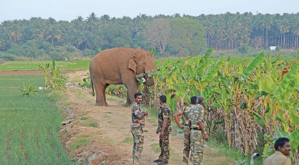 வனமகன்களுக்காக ‘மனம்’ வைக்குமா அரசு? - கண்ணீரில் வேட்டைத் தடுப்புக் காவலர்கள்!